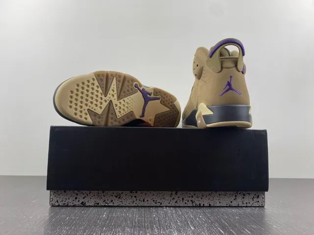 Air Jordan 6 Chaussures de basket Tan et Violet 14