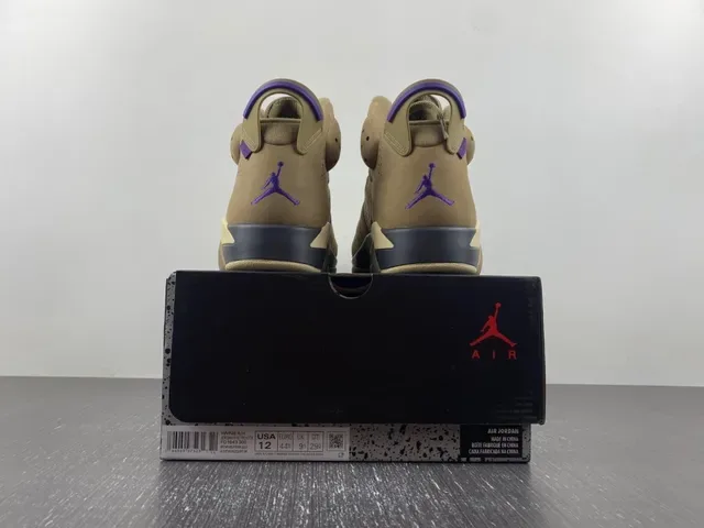 Air Jordan 6 Chaussures de basket Tan et Violet 15