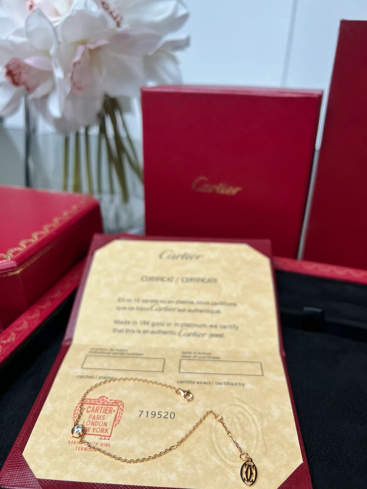 Cartier Pulsera de cadena de oro con una piedra 7