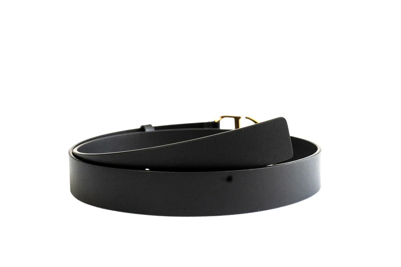 Dior CD Belt Black Gold Matte Polished Buckle Leather Belt 6