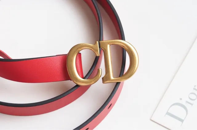 Dior CD Belt Red Black Thin Strap Interlocking Buckle Leather Belt 2