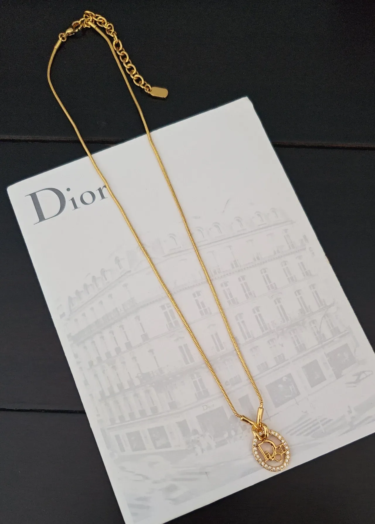 Dior Logo Pendant Gold-Tone Snake Chain Necklace 2