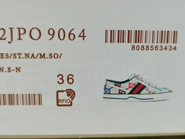 Gucci Multicolor Blanco Jacquard GG-Print Parte superior Rayas Web Verde-Rojo-Verde Zapatillas Lifestyle 12
