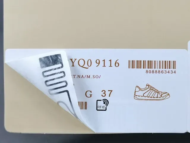 Gucci Tennis 1977 Tênis Lifestyle Off-White Green Red Web 7