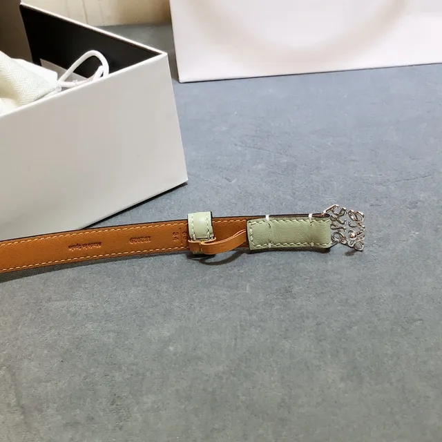 Loewe Anagram Belt Mint Green Dual-Tone Leather Belt 2
