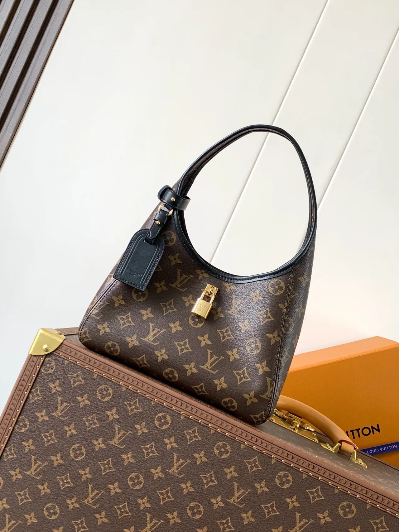 Louis Vuitton حقيبة تحت الإبط من القماش المونوغرام بني وأسود مع إطار جلدي 8