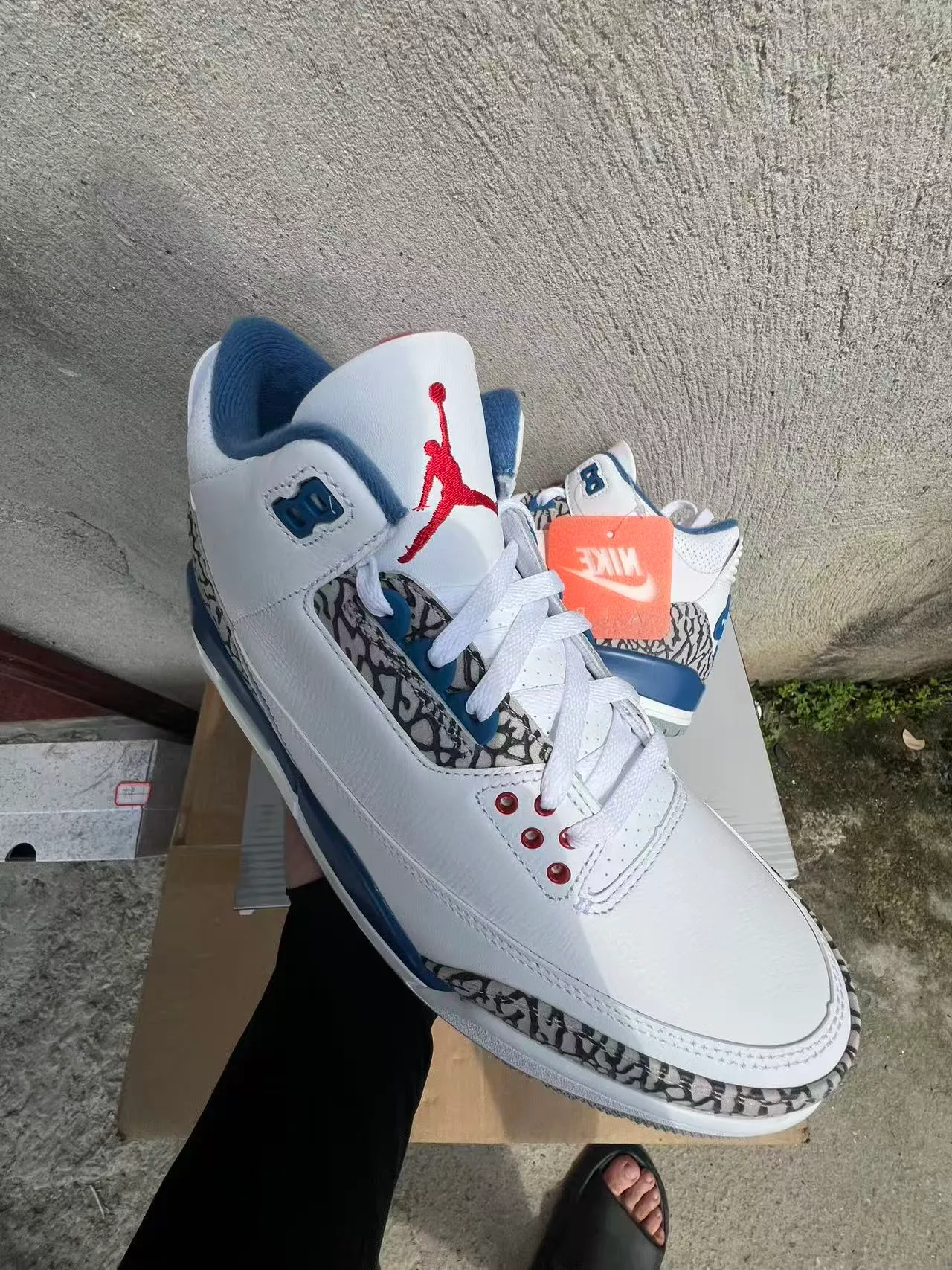 Nike Air Jordan 3 Zapatos de Baloncesto Blancos con Impresión de Elefante Azul Royal 2