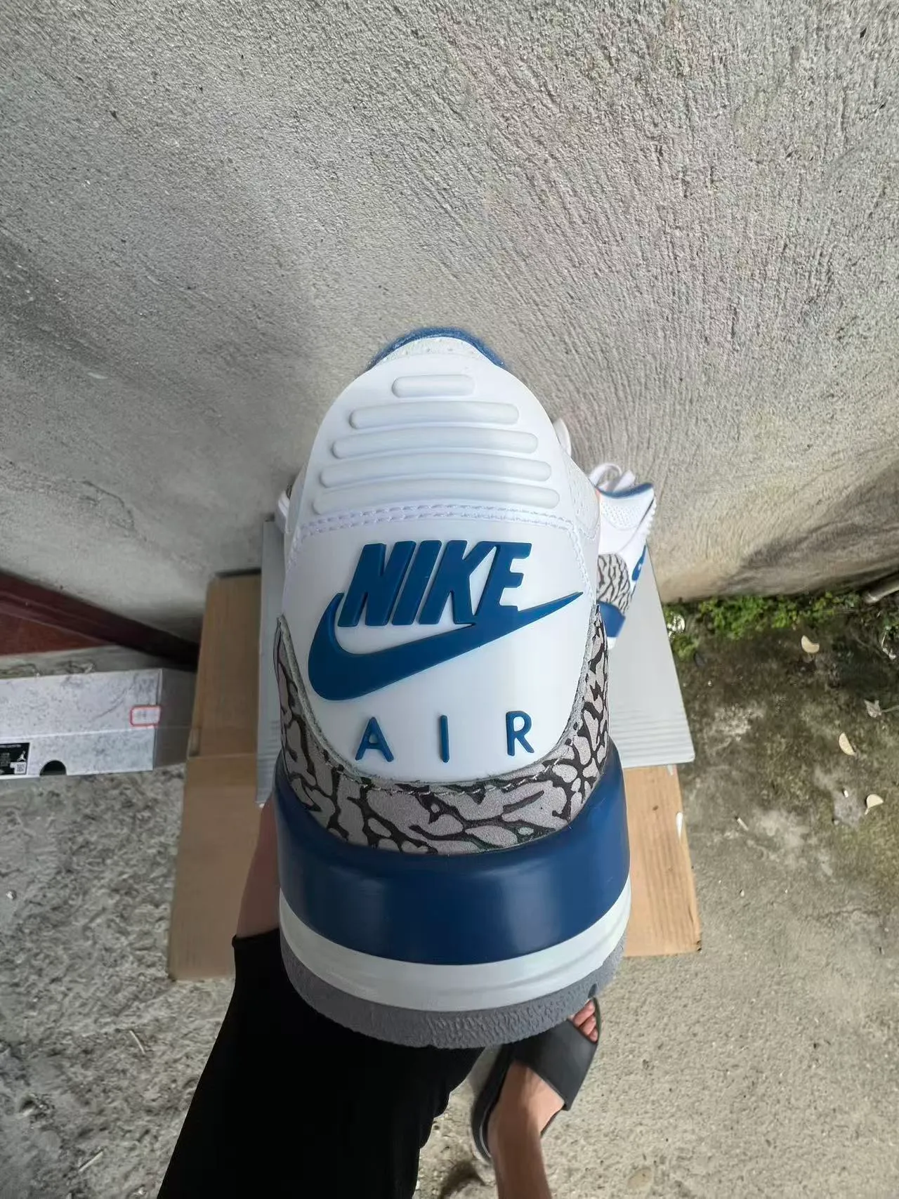 Nike Air Jordan 3 Zapatos de Baloncesto Blancos con Impresión de Elefante Azul Royal 8
