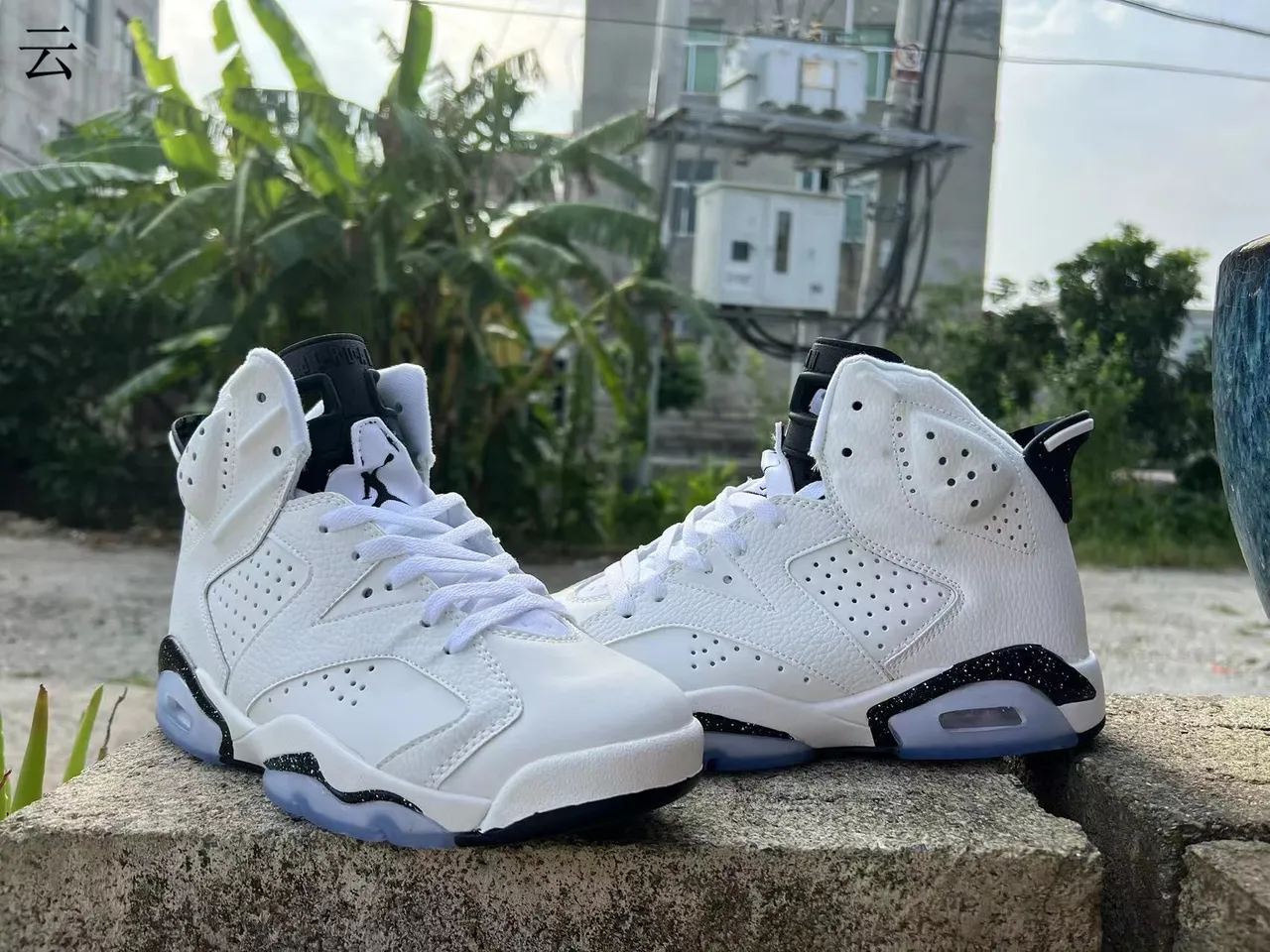 حذاء كرة السلة Air Jordan 6 باللونين الأبيض والأسود المرقط 2