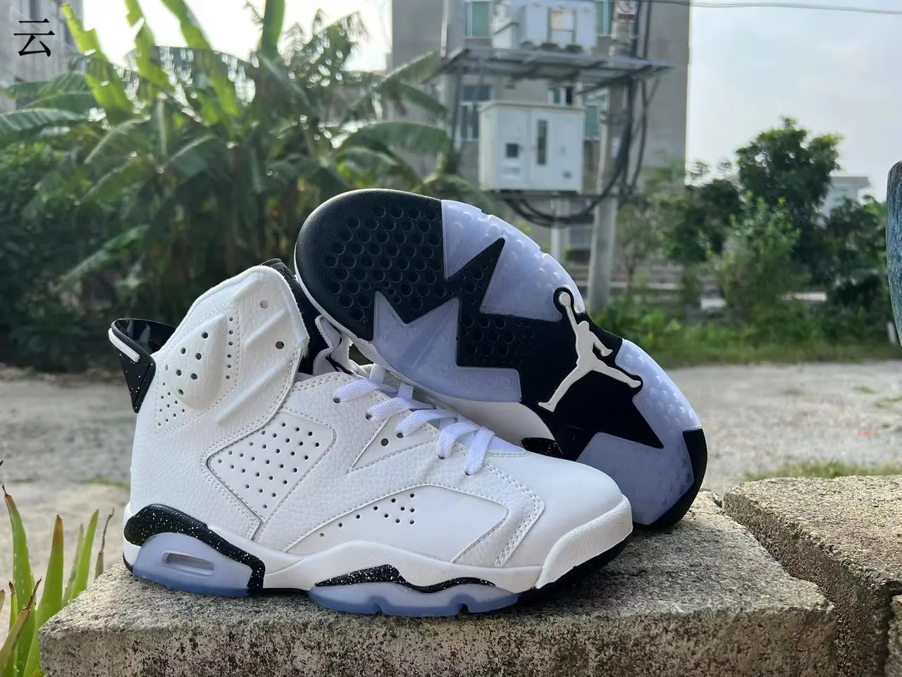 حذاء كرة السلة Air Jordan 6 باللونين الأبيض والأسود المرقط 3