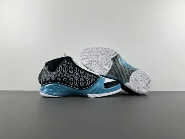 Air Jordan Noir et Bleu High-Top Semelle Intermédiaire Translucide Chaussures de Basketball 12