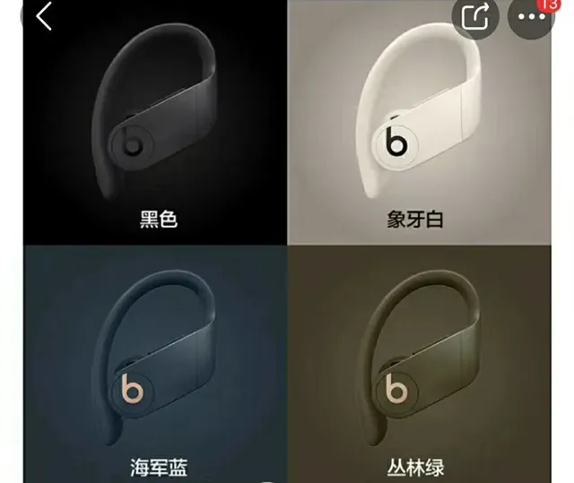 Beats Powerbeats Pro নেভি ব্লু স্পোর্টস ইয়ারফোন 21