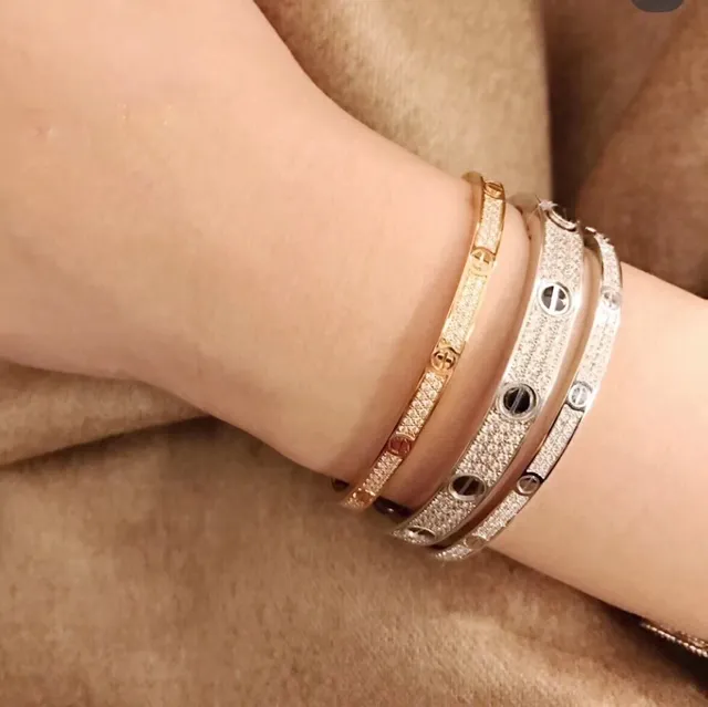 Cartier Love Braceletes com Bisagra de Motivo de Parafuso Pavé-Set 5
