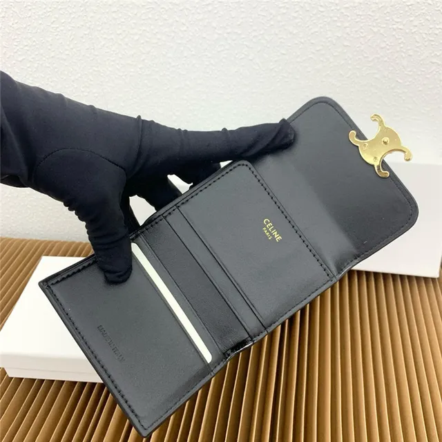Celine Triomphe Multicolore Flap Pliable Fermoir Doré Petit Portefeuille 11