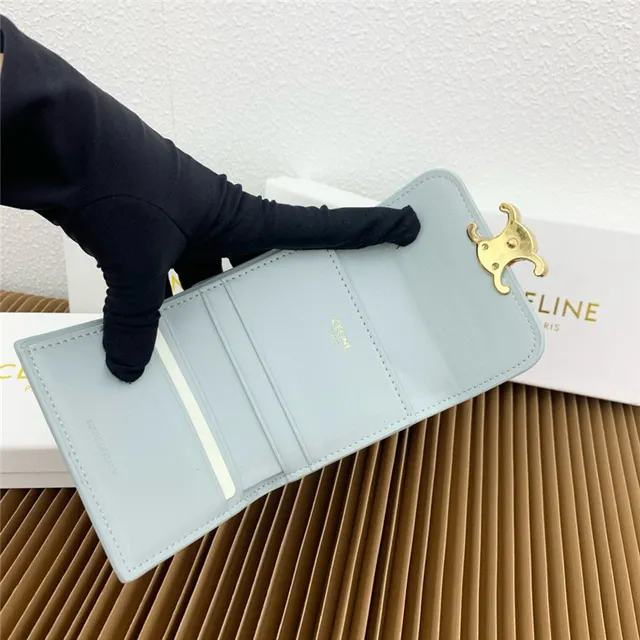 Celine Triomphe Multicolore Flap Pliable Fermoir Doré Petit Portefeuille 21