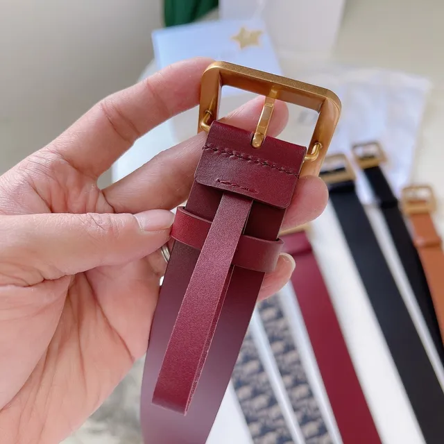 Dior বার্গন্ডি গোল্ড সরু স্ট্র্যাপ বর্গাকার বাকল চামড়ার বেল্ট 2