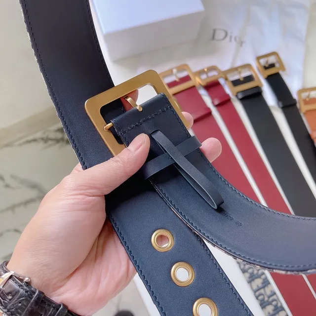 Dior Oblique Monogram Beige and Navy Canvas Belt 2