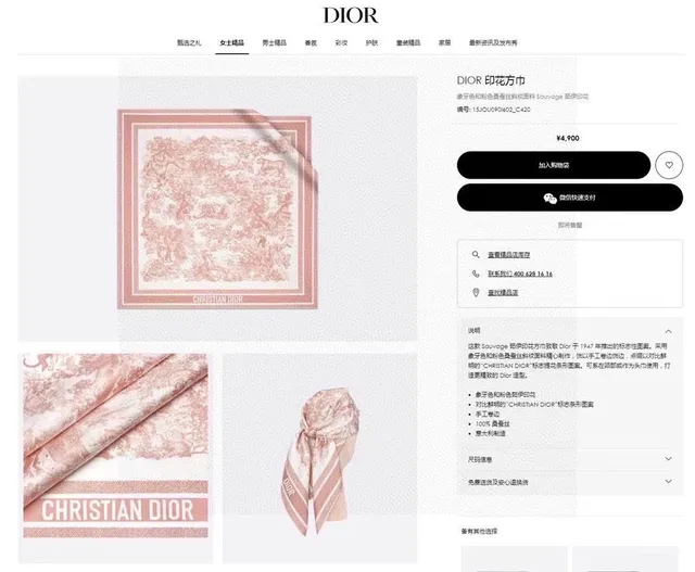 Dior Printed Pastoral Toile Silk Scarf 3