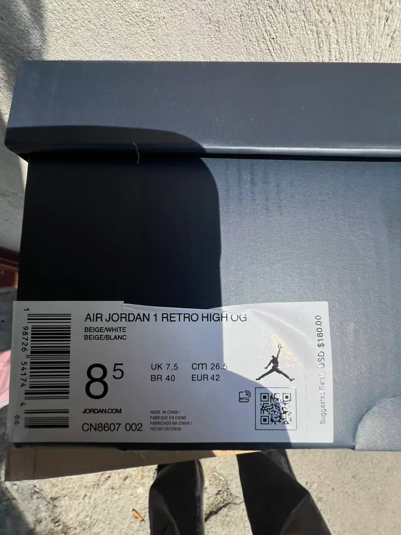 Dior x Air Jordan 1 Gris Blanco Monogram Zapatos de Baloncesto 10
