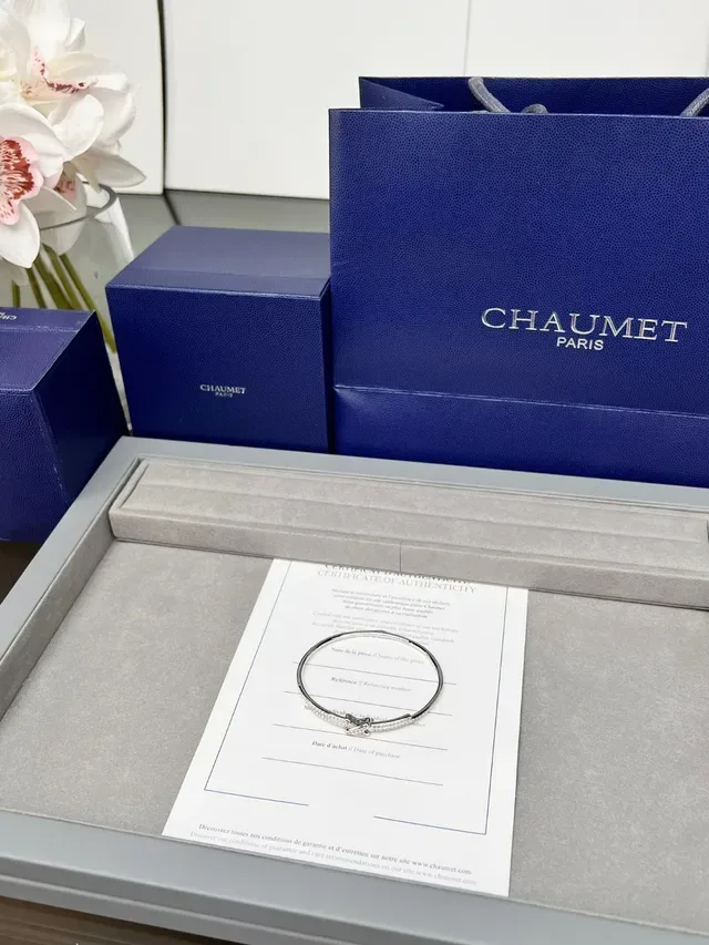 Chaumet Liens Knot Motif Pavé Diamond Bangle Bracelets 8