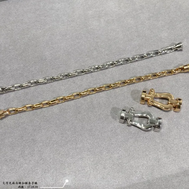 सोने और चांदी Shackle-Link Chain कंगन 5