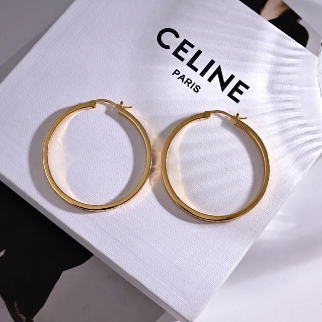 Silver Gold Hoop Hinged Closure Earrings 4