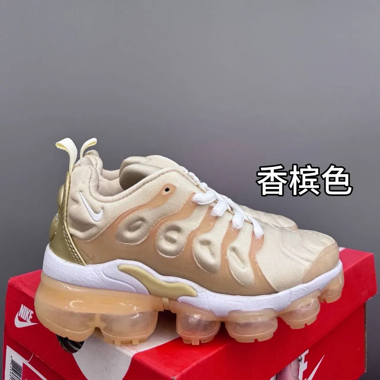 Nike Air VaporMax Plus Blue Lifestyle Sneakers 5