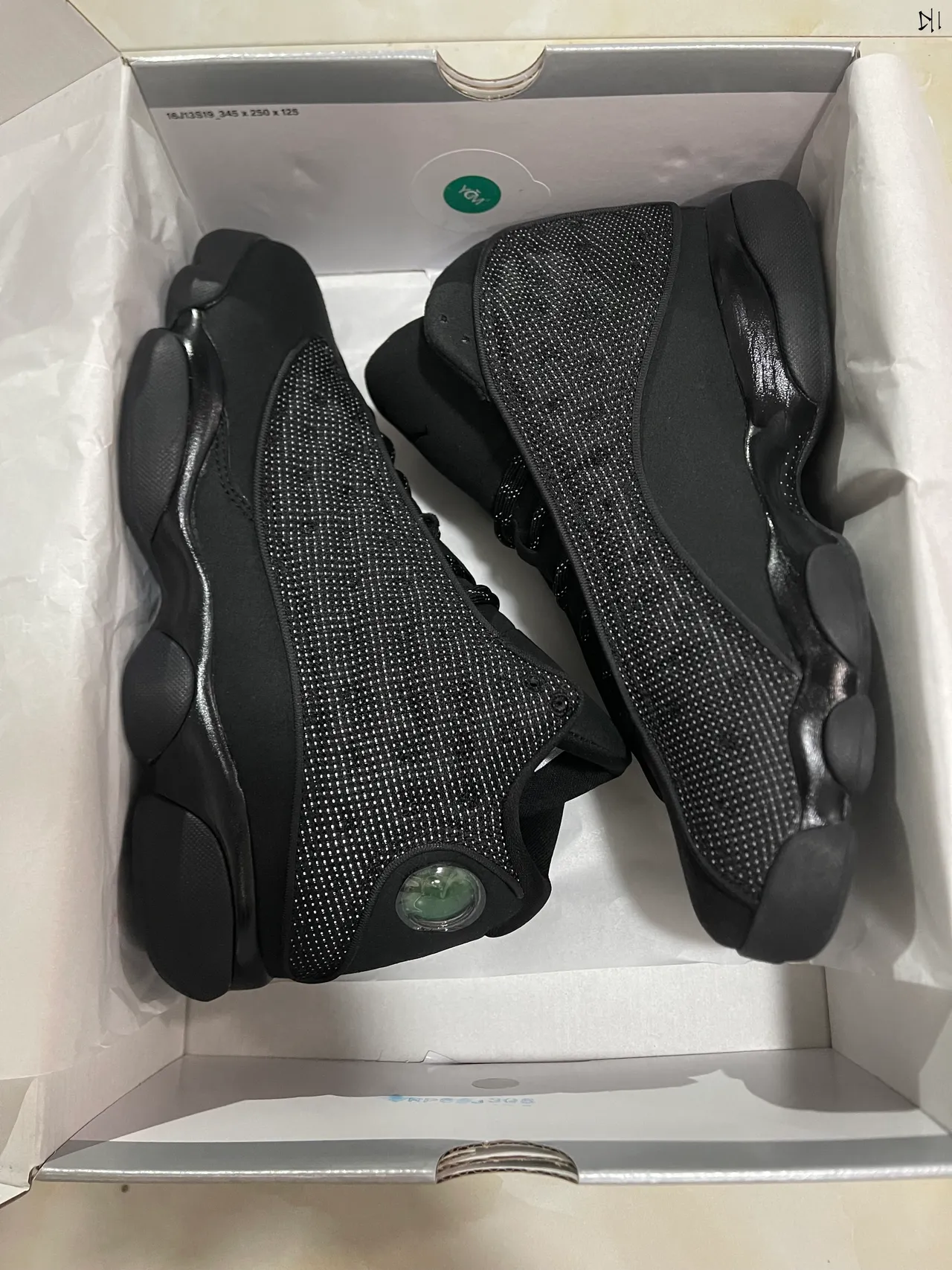 Chaussures de basketball Air Jordan 13 noir monochrome 10