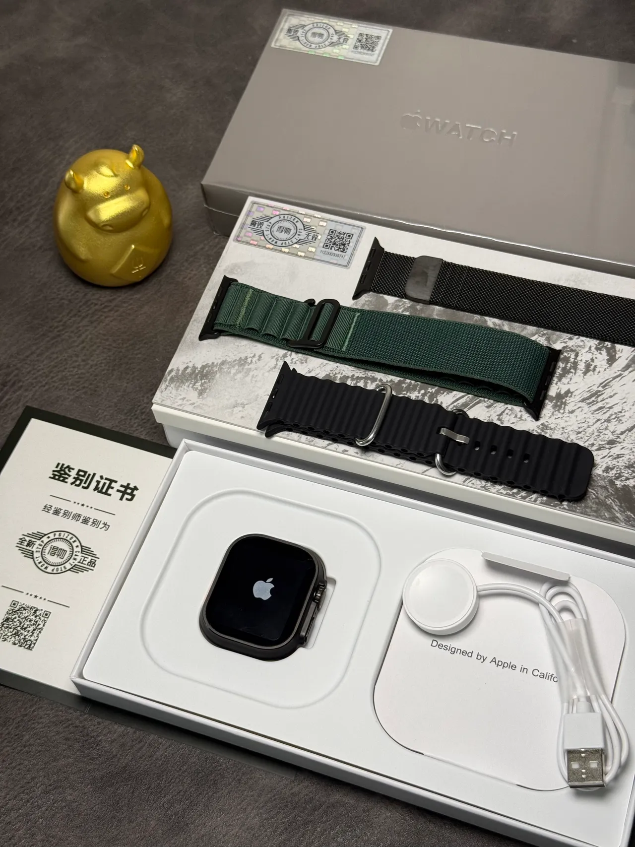 Apple Watch Ultra Bande Océan Noire Montre Sport 11