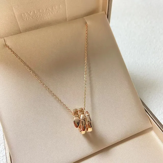 Bvlgari Serpenti Tubogas ذهب فضة متشابك أنبوبي تعليق مصقول معدن قلادة 4