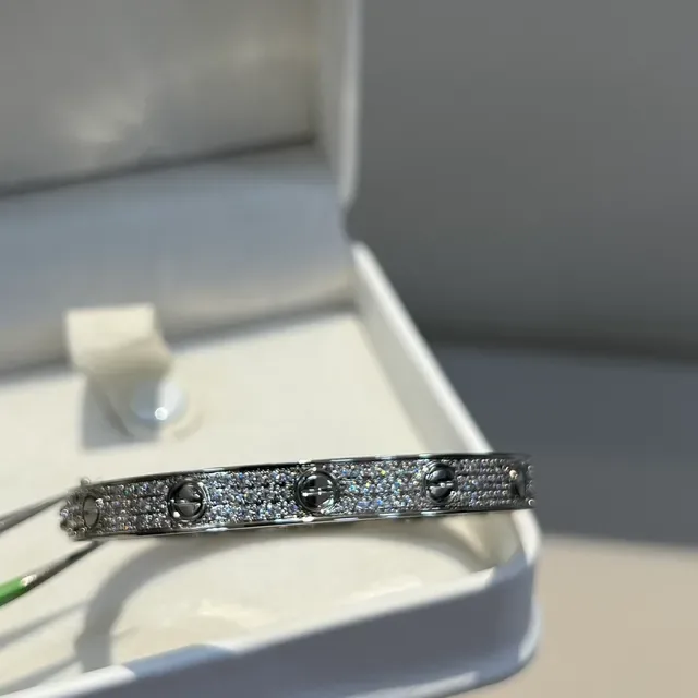 Bracelet Cartier Love Motif à Vis Pavé-Set en Argent 3