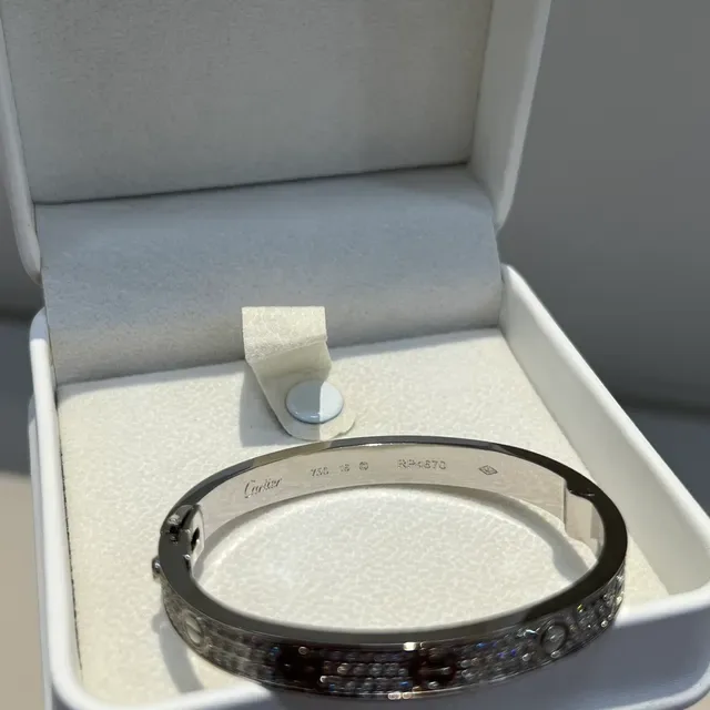 Bracelet Cartier Love Motif à Vis Pavé-Set en Argent 6
