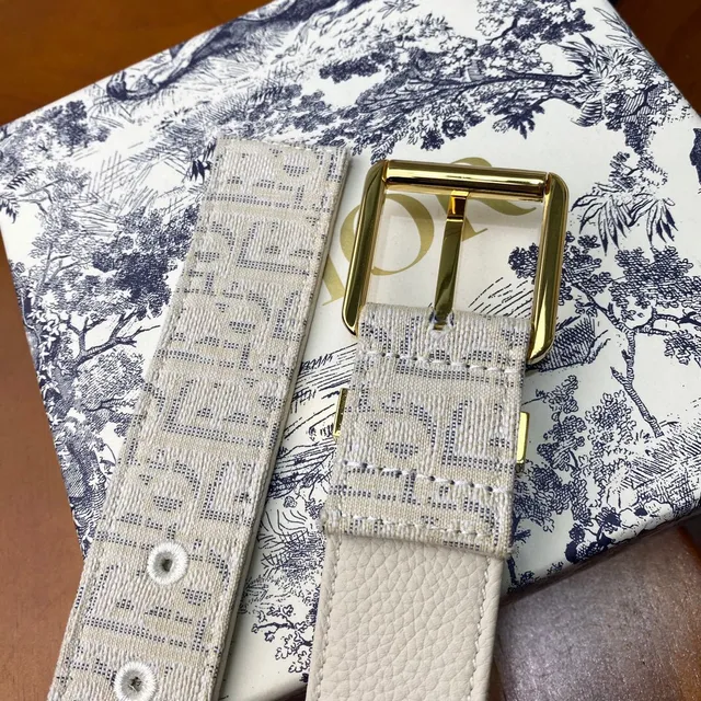 Dior Oblique Bege Preto Monogramado Hardware Canvas Cinto 2