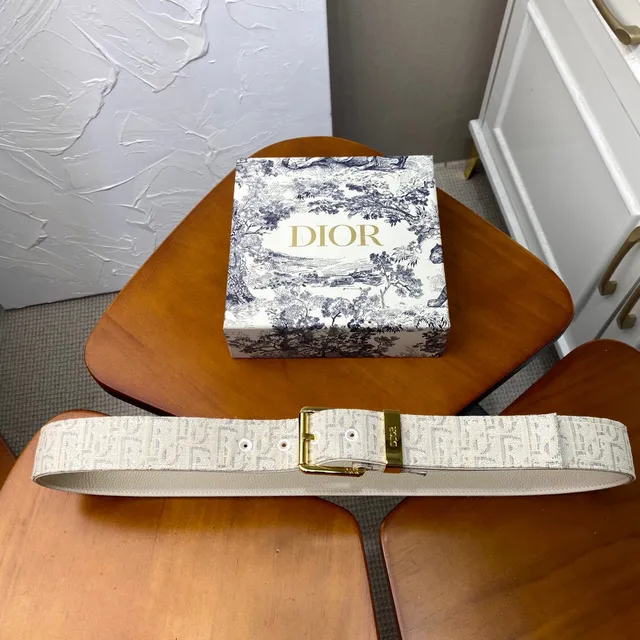 Dior Oblique Bege Preto Monogramado Hardware Canvas Cinto 3