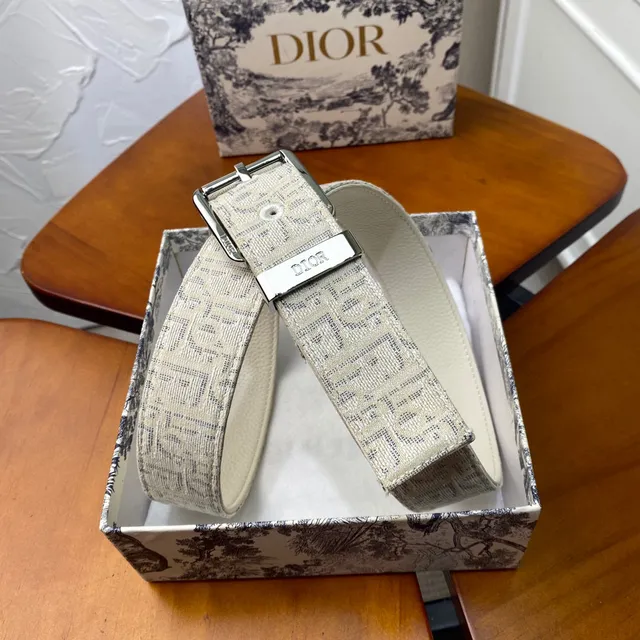 Dior Oblique Bege Preto Monogramado Hardware Canvas Cinto 11