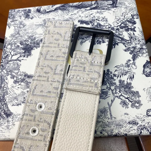 Dior Oblique Bege Preto Monogramado Hardware Canvas Cinto 14