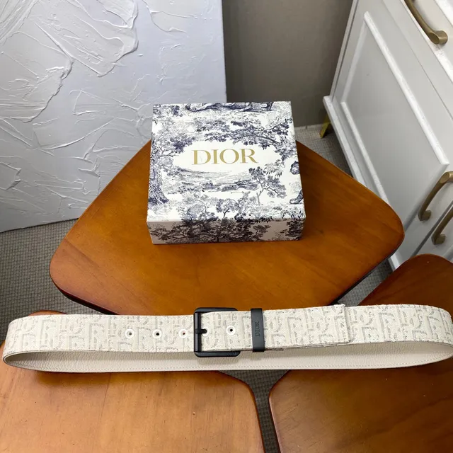 Dior Oblique Bege Preto Monogramado Hardware Canvas Cinto 15