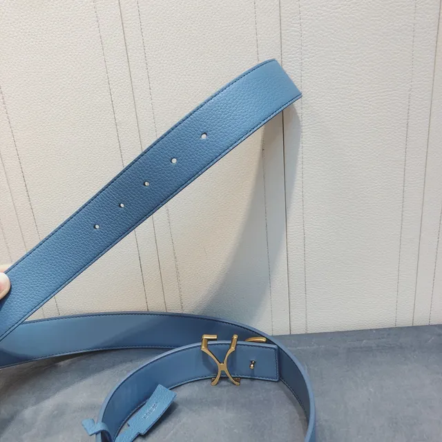 Dior Script Logo Belt Ceinture Bleu Or Boucle Grainée Cuir 6