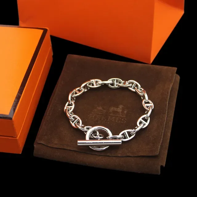 Hermès Chaine d'Ancre 银金椭圆链扣手链 2