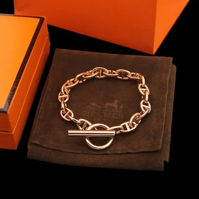 Hermès Chaine d'Ancre 银金椭圆链扣手链 4