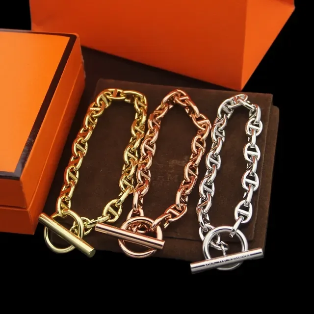 Hermès Chaine d'Ancre 银金椭圆链扣手链 5