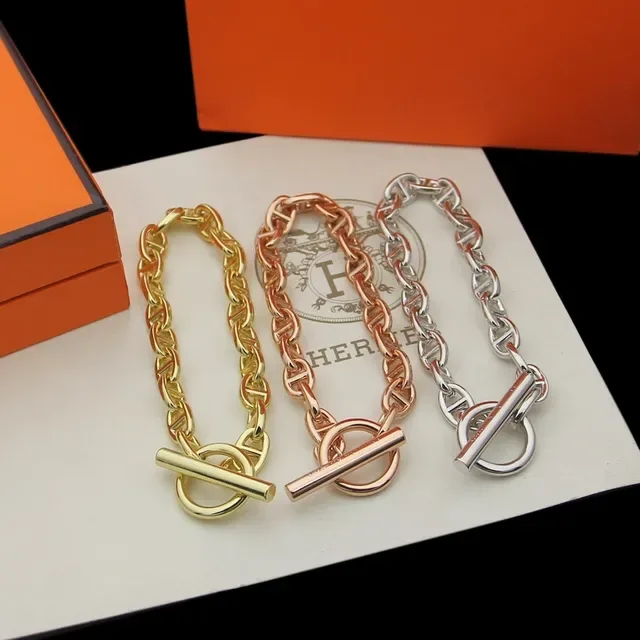 Hermès Chaine d'Ancre 银金椭圆链扣手链 6