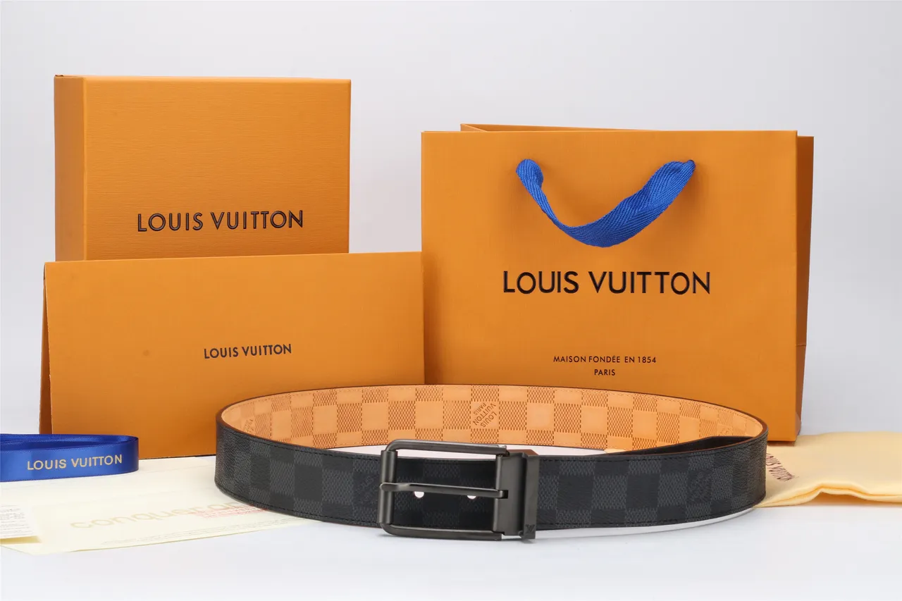 Louis Vuitton Ceinture Reversible Damier Noir Beige Graphite Toile Cuir 5