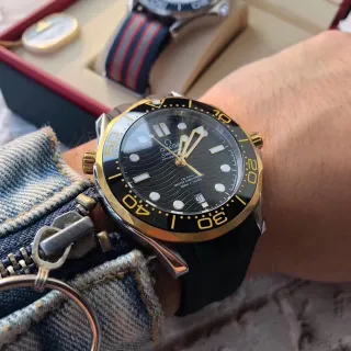 Omega Seamaster Professional Black Dial Gold-Tone Mechanical Watch
