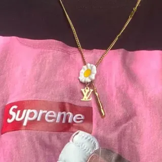 Supreme Box Logo Pink Graphic Print Hoodie