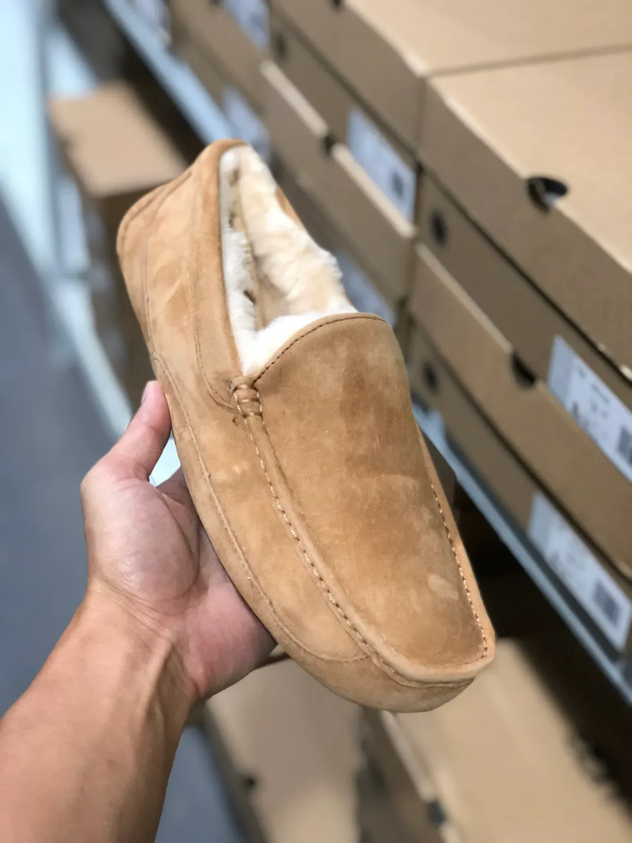 UGG Tasman 米色麂皮羊毛内衬乐福鞋 6