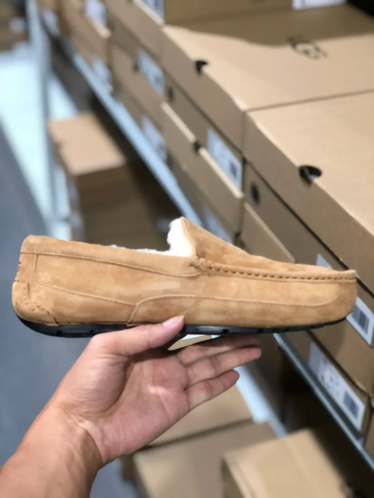 UGG Tasman 米色麂皮羊毛内衬乐福鞋 7