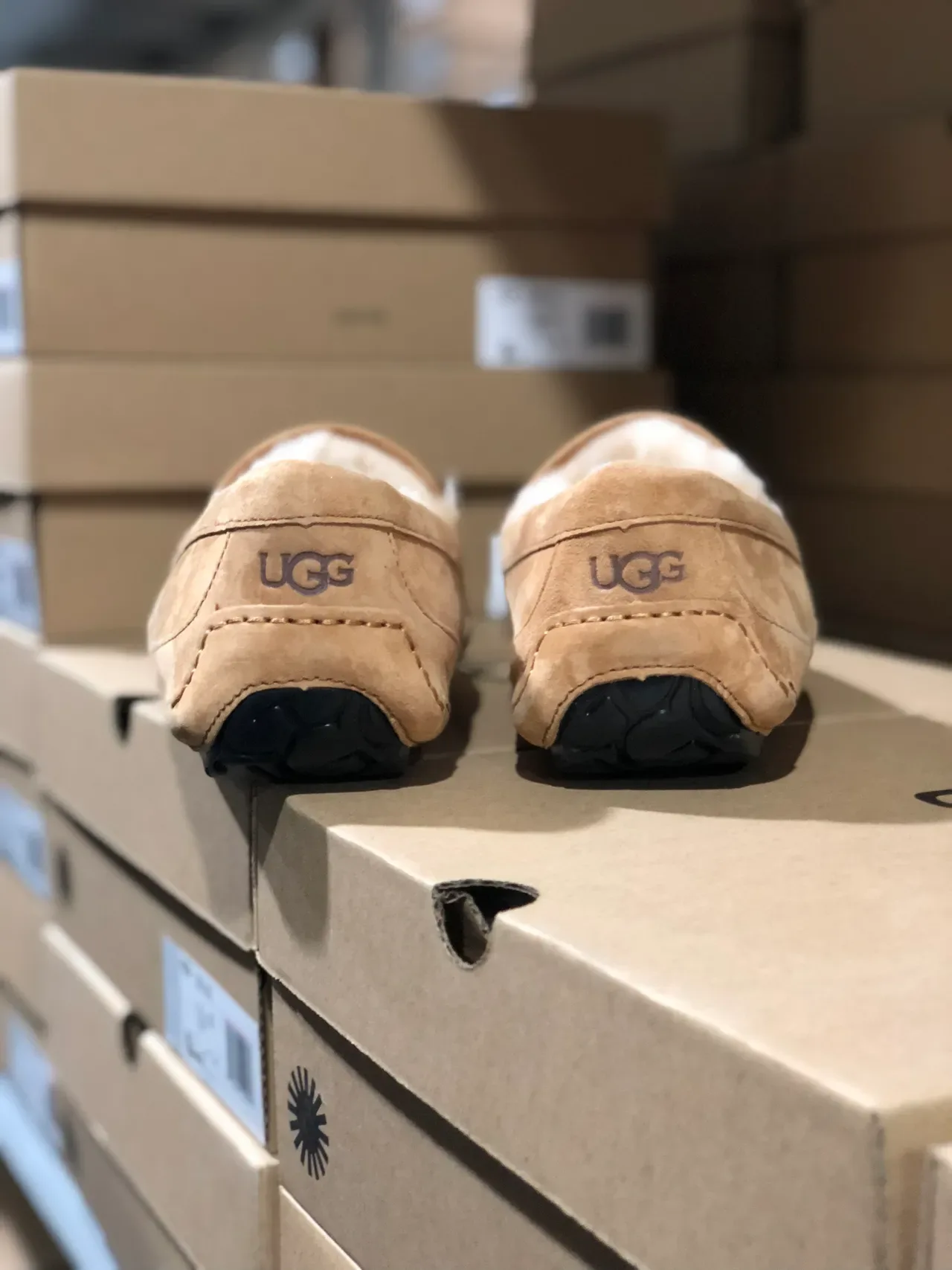 UGG Tasman 米色麂皮羊毛内衬乐福鞋 8
