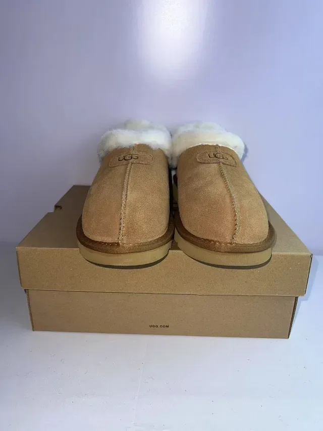 UGG Tasman ब्राउन व्हाइट सूड उपर शेरलिंग लाइनड केजुअल जूते 6