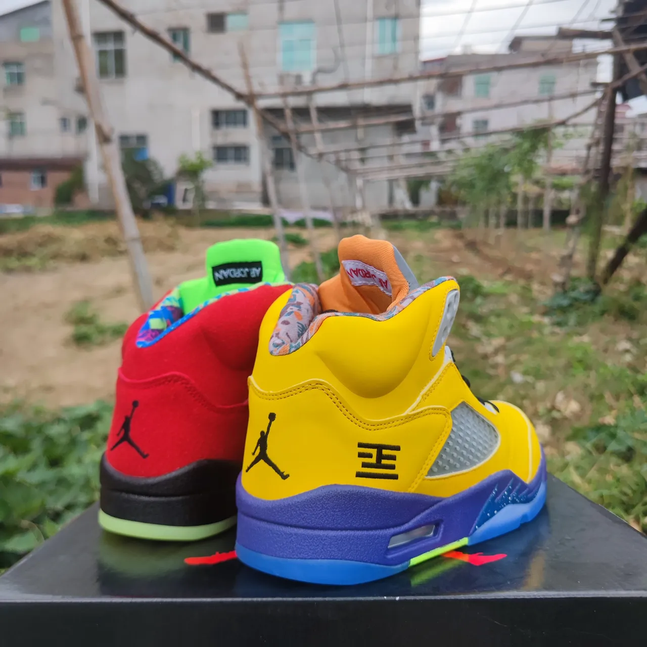 Chaussures de basketball Air Jordan 5 jaune violet vert néon 3